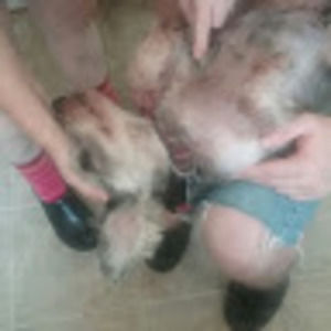 Meet your Posher, Abby